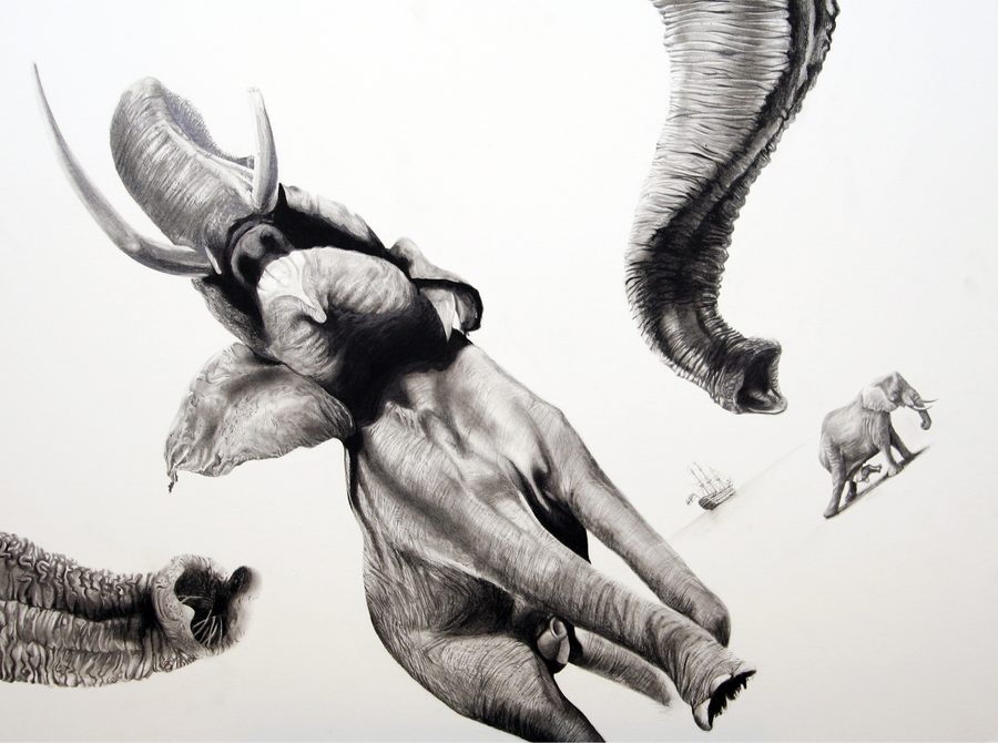 Animals 02, artwork by Martin Kalanda