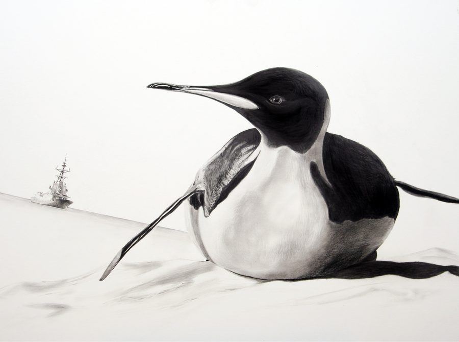 Animals 06, artwork by Martin Kalanda